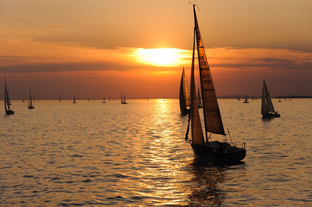 Wir segeln der Sonne nach Foto Bild sport Wir segeln der Sonne nach Foto Bild sport