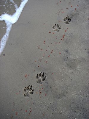 >>>}}} wir sin nich allein hier !!!