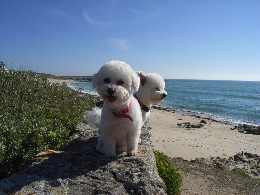 Wir sind am Meer