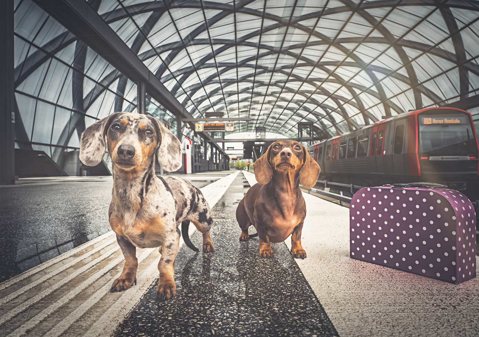 Wir sind auf dem Weg...