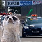 Wir sind beim nächsten VLN-Lauf wieder dabei :-))