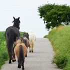 Wir sind dann mal weg!