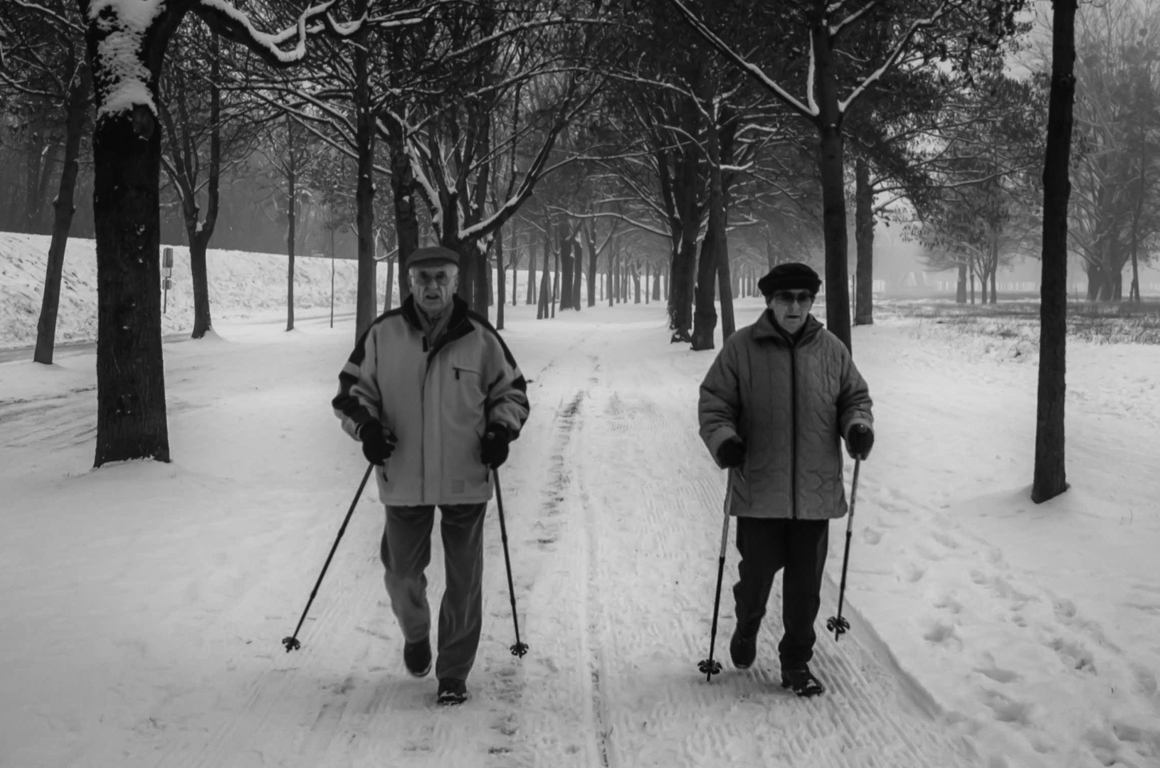 Wir sind den weiten Weg gegangen