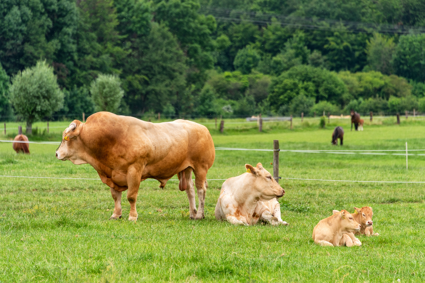 Wir sind eine Familie.