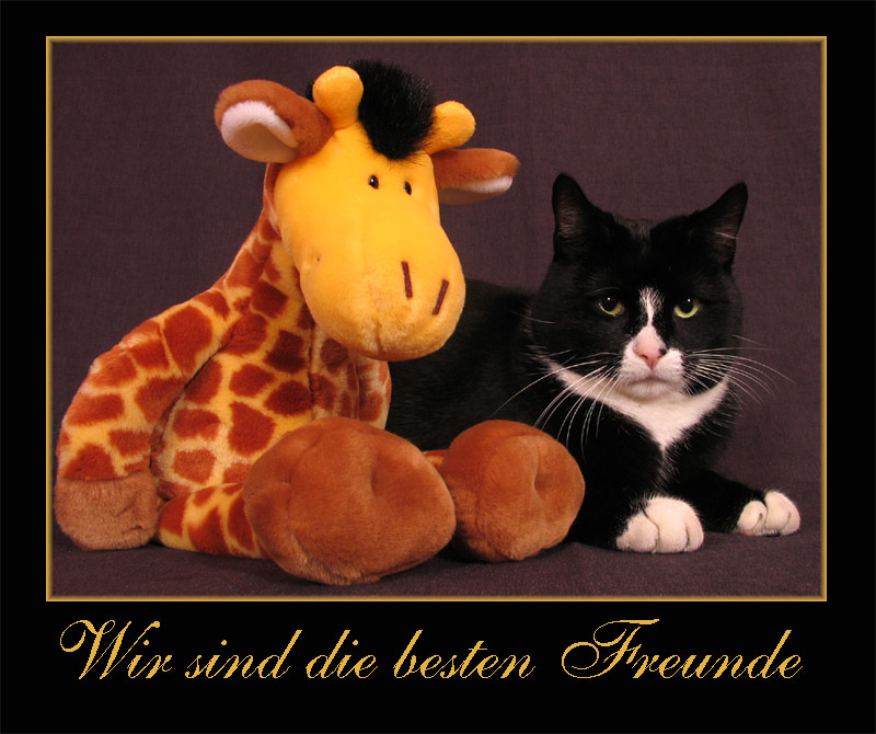 Wir sind Freunde