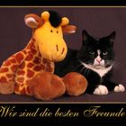 Wir sind Freunde