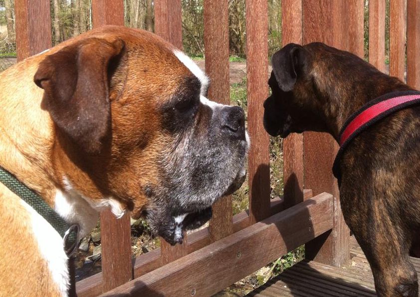 Wir sind Freunde / Foto von Bianca