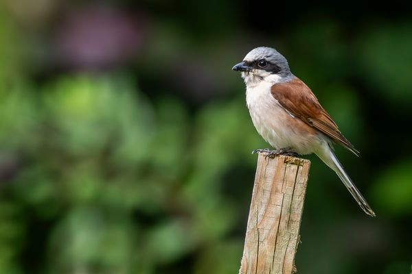 Wir sind gespannt...