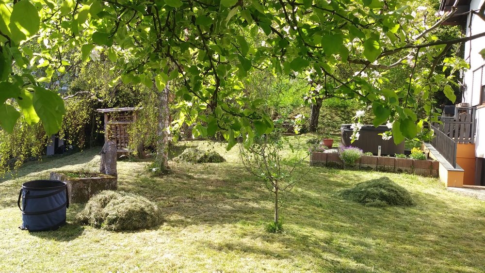 wir sind im Garten Foto & Bild monatswettbewerbe, 2023, 06 du und