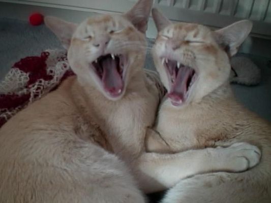 Wir sind ja noch sooo müde ...