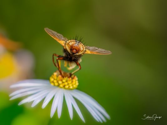 Wir sind nicht allein ;-)