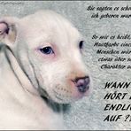 Wir sind nicht anders...............