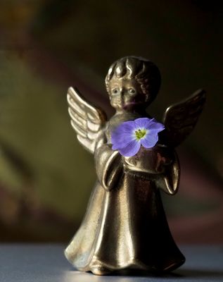 Wir sind sehr traurig.. 