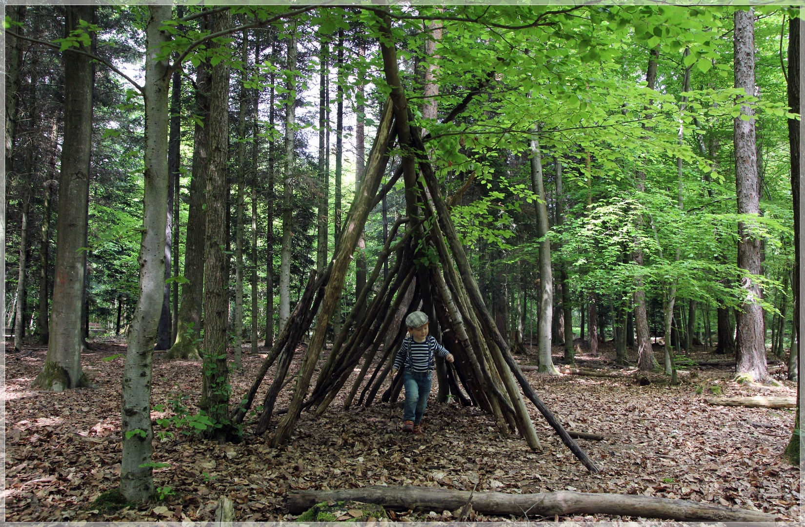 wir sind so gern im Wald