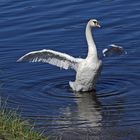 Wir sind uns mit Respekt begegnet am Stau der Elbe (Labe) im Böhmischen Mittelgebirge