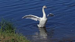 Wir sind uns mit Respekt begegnet am Stau der Elbe (Labe) im Böhmischen Mittelgebirge