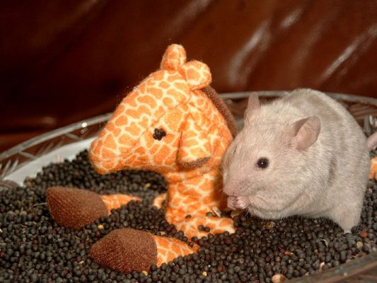 Wir sind unzertrennlich!