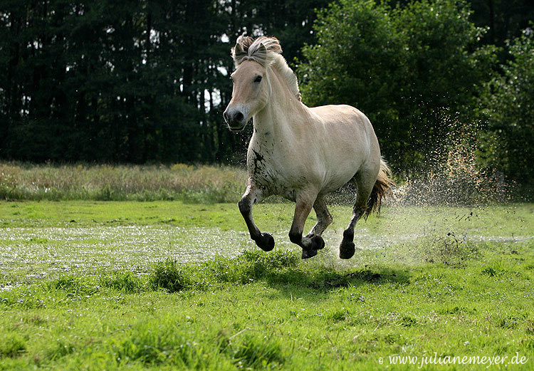 Wir sind wieder da :-)