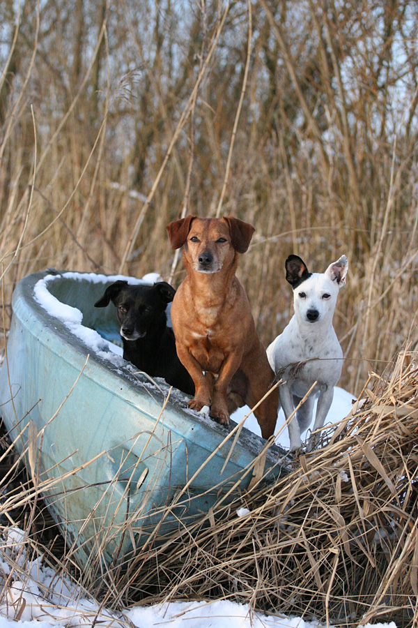 Wir sitzen alle im selben Boot