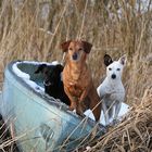 Wir sitzen alle im selben Boot