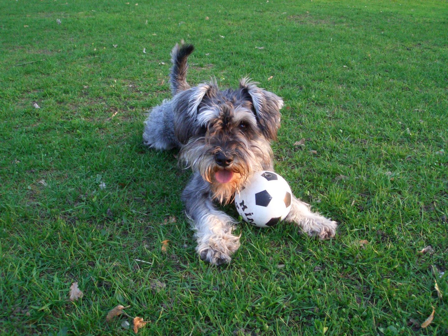 Wir spielen Fußball :-))