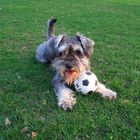 Wir spielen Fußball :-))