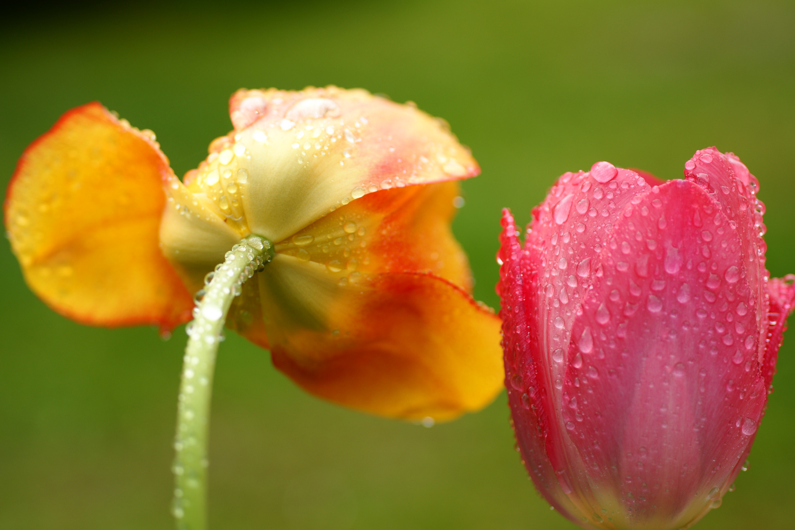 Wir stehen bei Wind und Wetter zusammen !