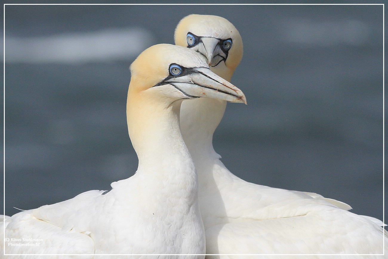 Wir-stehen-zusammen; Helgoland005