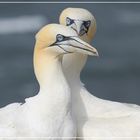 Wir-stehen-zusammen; Helgoland005