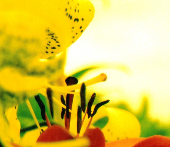 Wir trafen uns in einem Garten Foto & Bild natur, youth