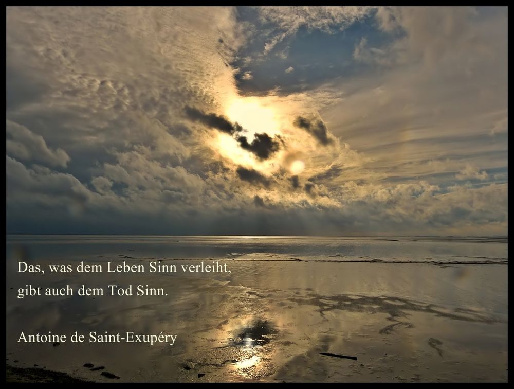 Wir trauern um einen lieben Freund Foto & Bild spezial, trauer