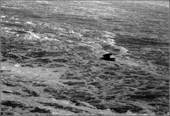 Wir trauern um Frank Peters 1963-2012