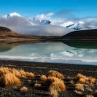 Wir verlassen den Torres del Paine Nationalpark