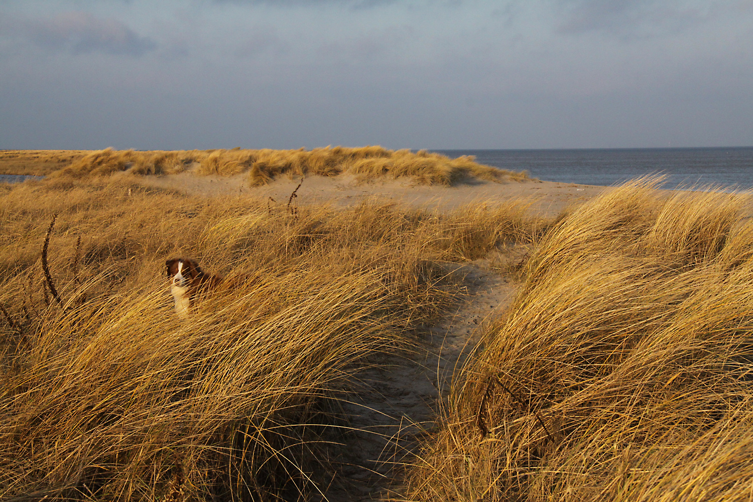 wir waren am meer