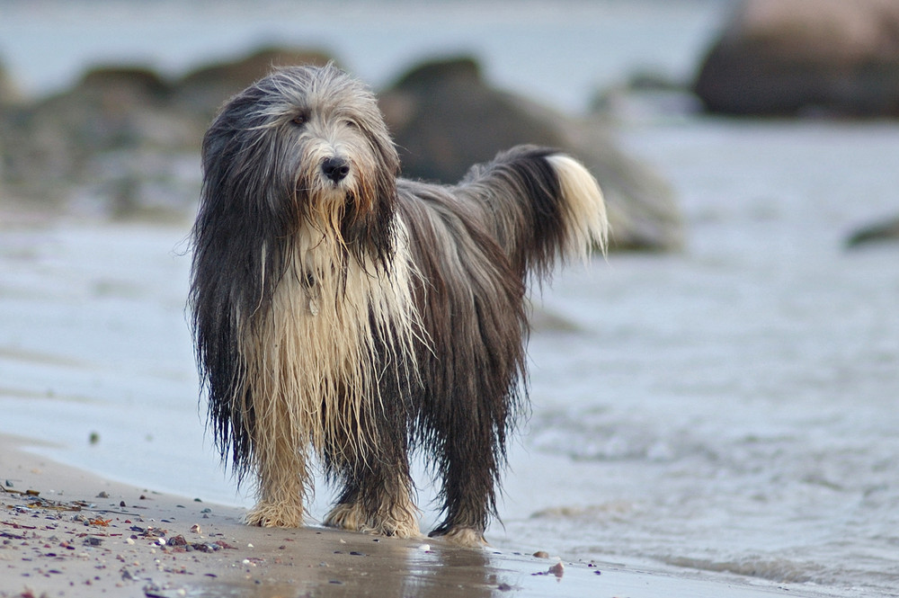 Wir waren an der Ostsee