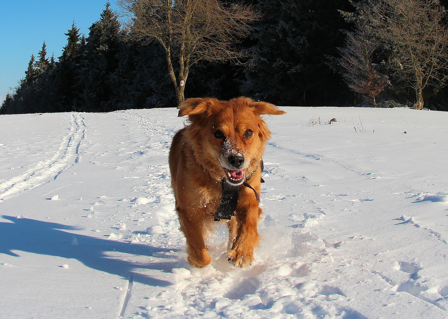 Wir waren heute mal im Winter