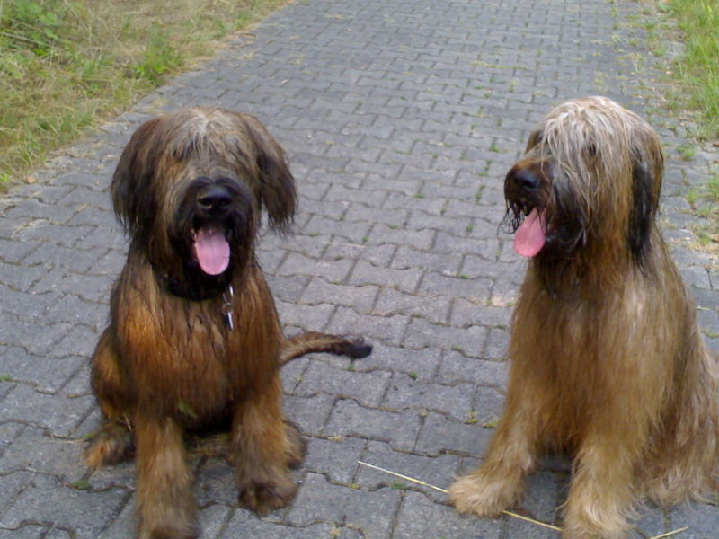 Wir waren Schwimmen,und jetzt??? ;-)