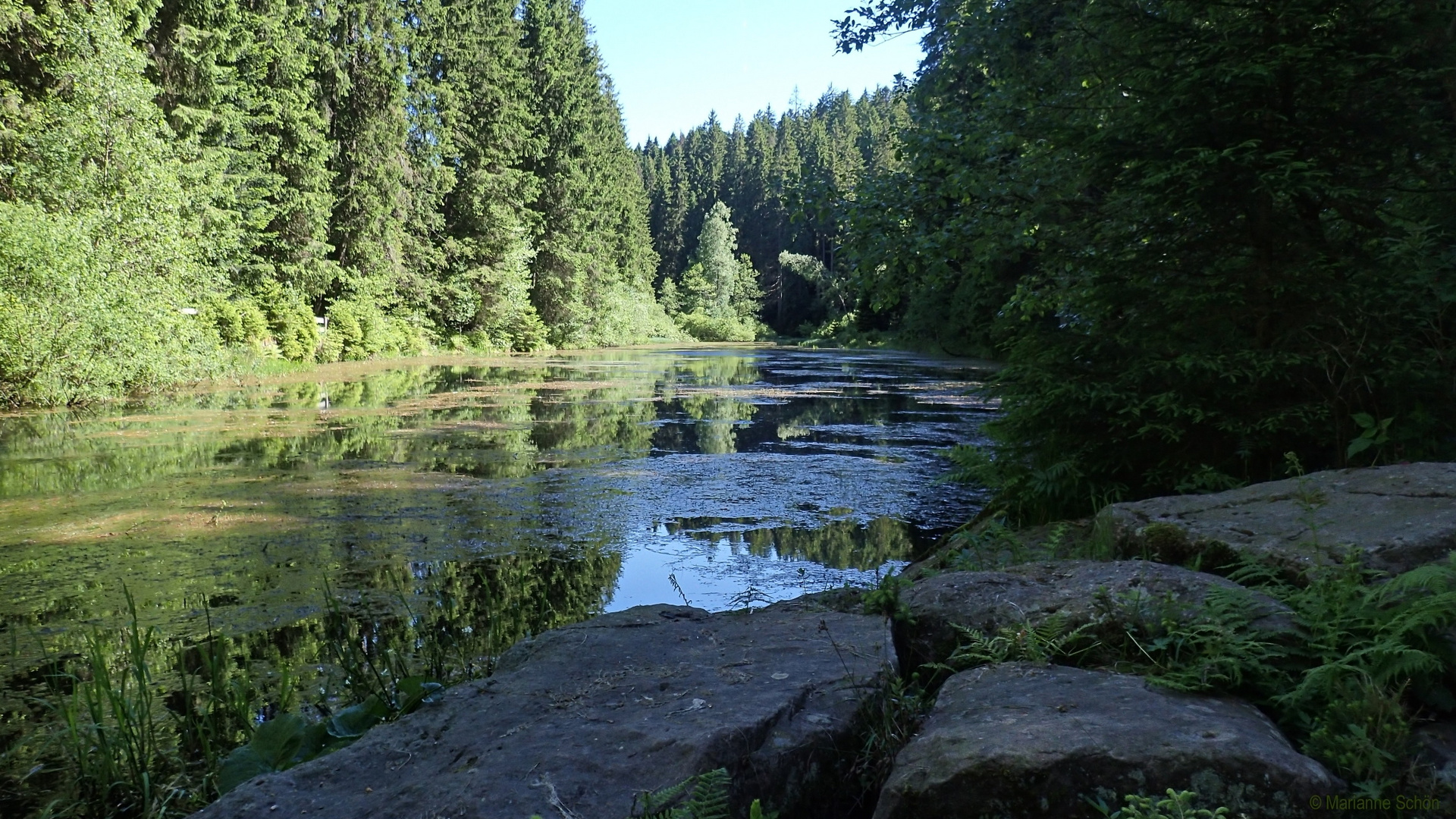 Wir waren wieder einmal am Poppelsee...