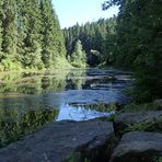 Wir waren wieder einmal am Poppelsee...