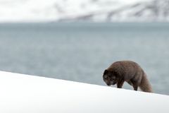 Wir waren zu Gast in seinem Fjord