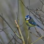 Wir warten auf den Frühling...!