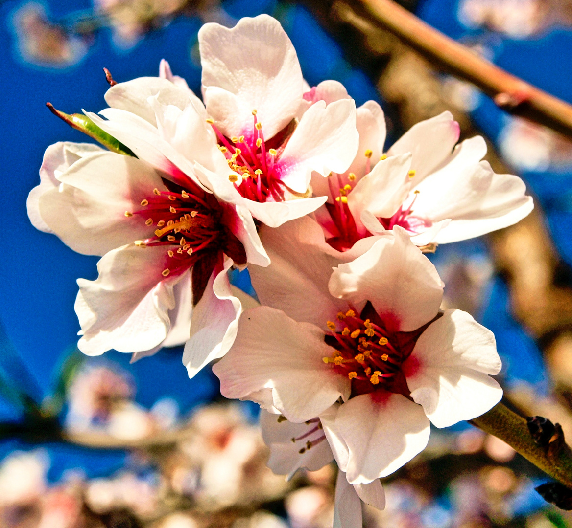 wir warten auf den Frühling