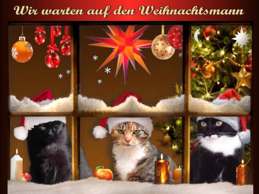 Wir warten auf den Weihnachtsmann