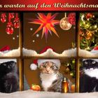 Wir warten auf den Weihnachtsmann