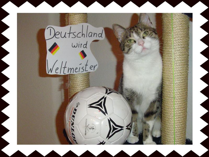 Wir werden Weltmeister !!