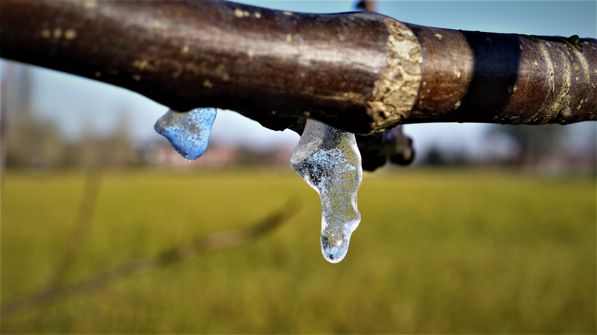 Wir wollen mal große Eiszapfen werden