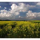 Wir wollen wärmeres Wetter!