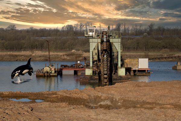 Wir wollten es nicht glauben...