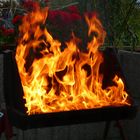 Wir wollten Grillen