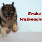 Wir wünschen....